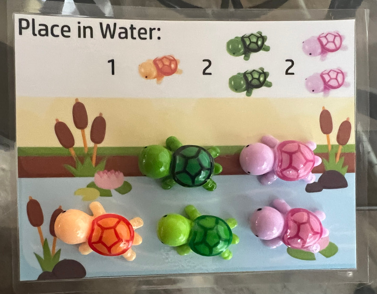 Turtle Math
