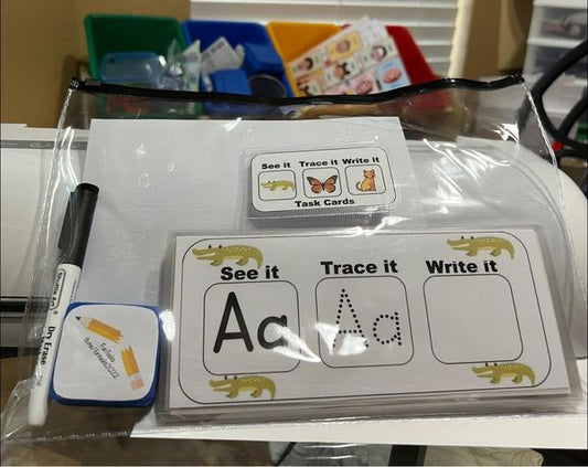 👀See Trace ✍🏻Write Alphabet Task Cards-with ABC animals🐊